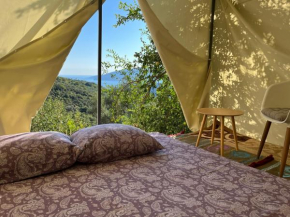 Pestorici - camp